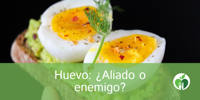 Mitos sobre el huevo