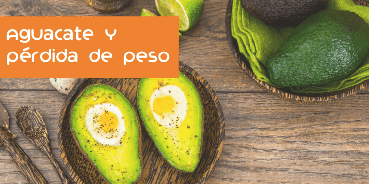 El aguacate engorda