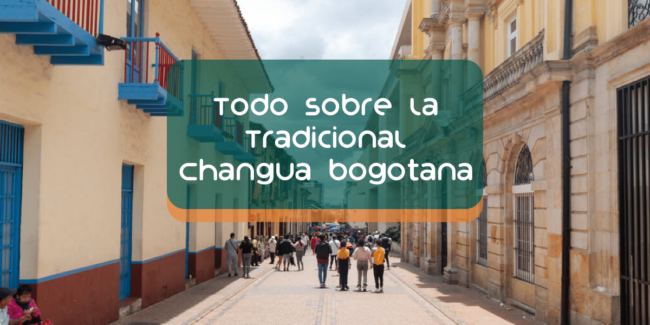 Changua bogotana