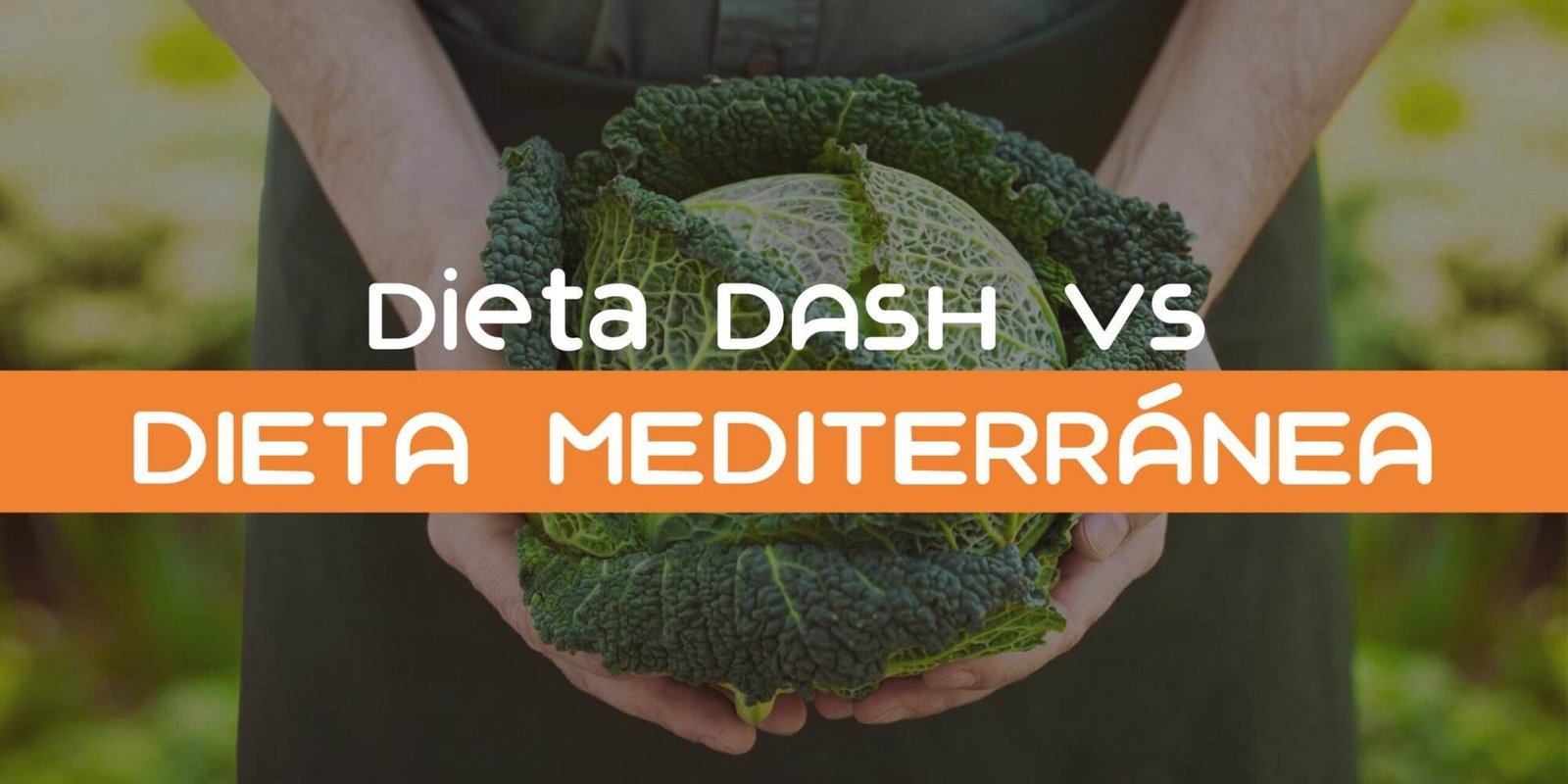 Dieta DASH vs Mediterránea