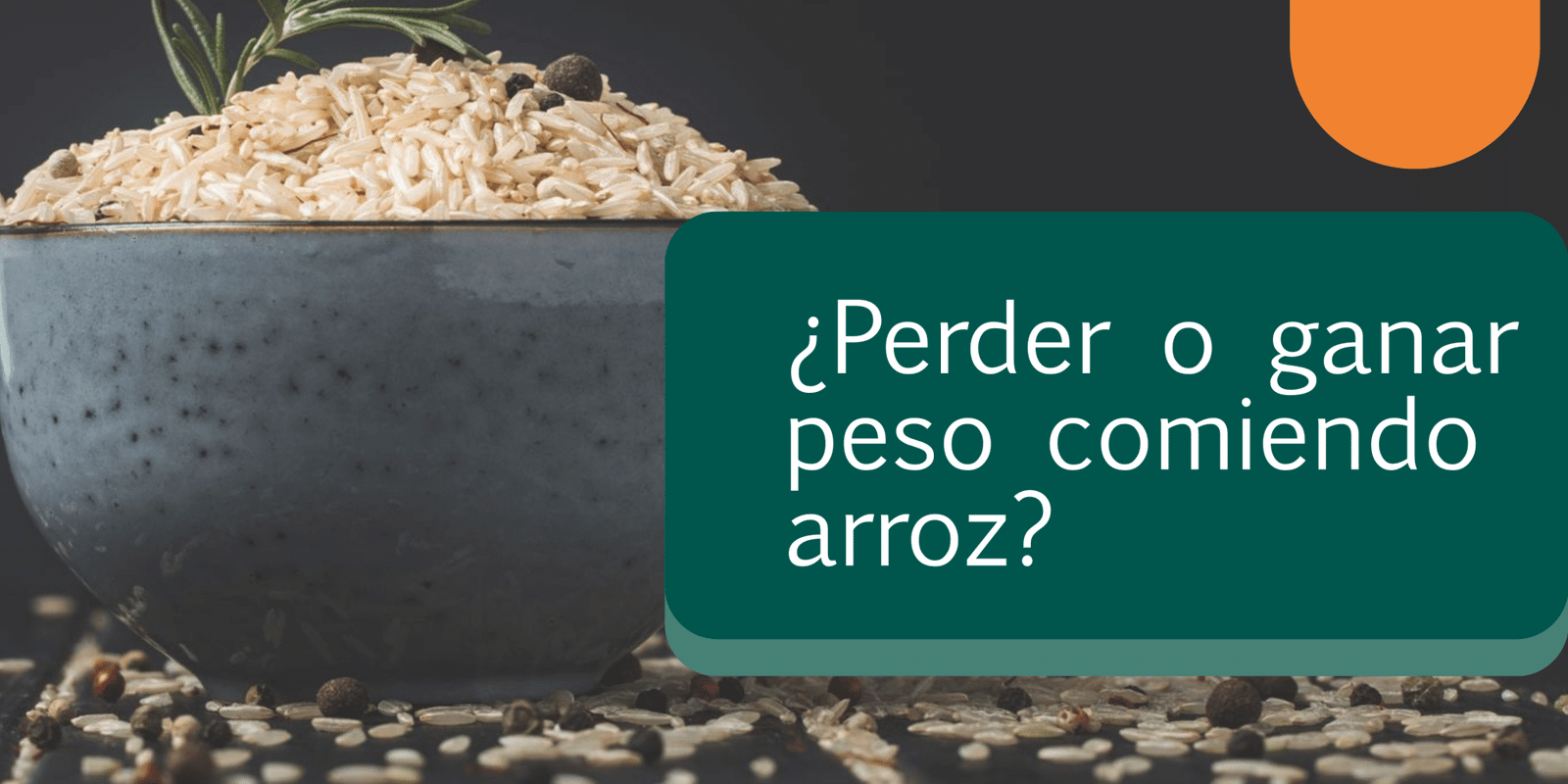 El arroz engorda para blog El arroz engorda