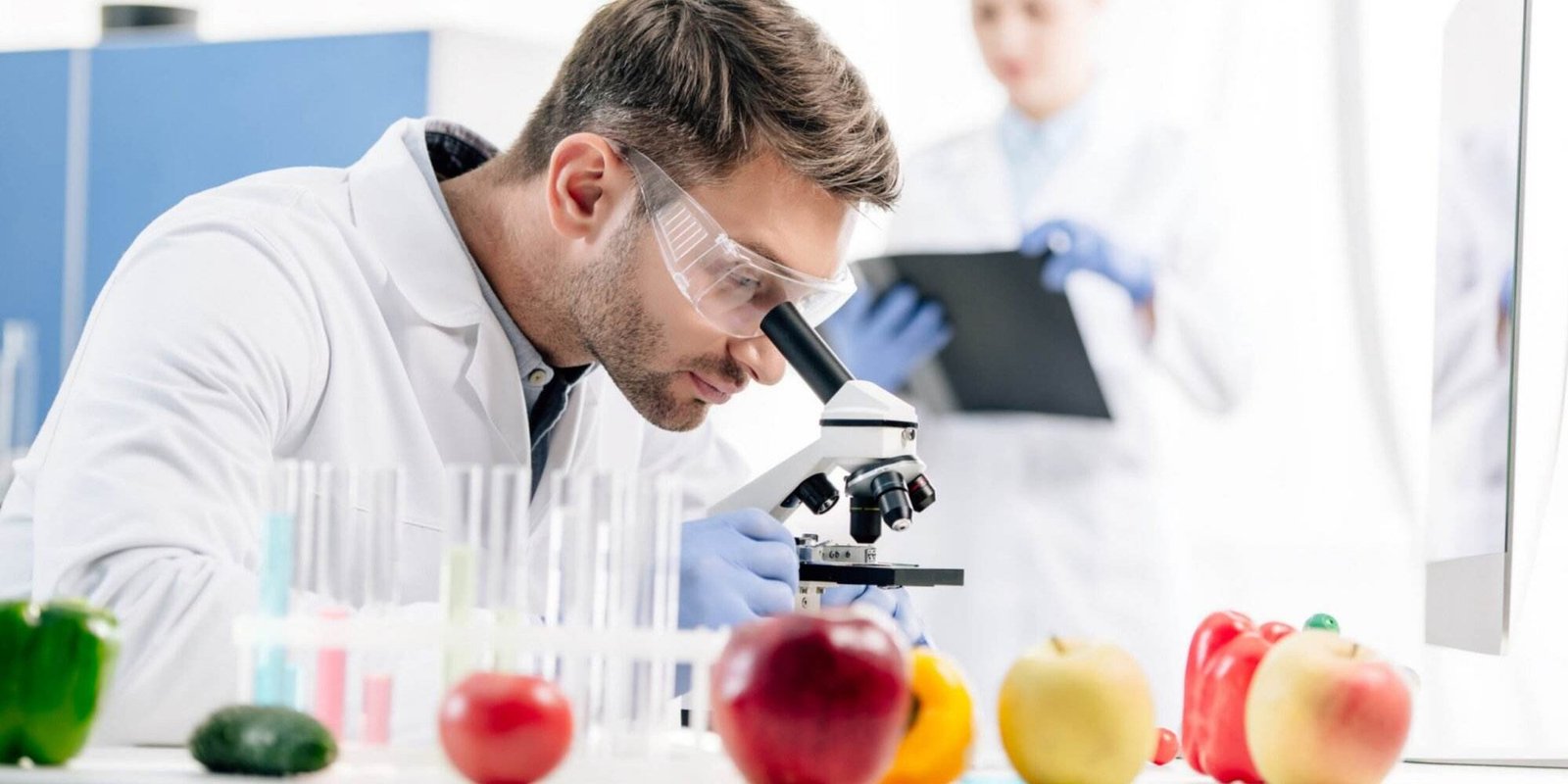 Avances recientes en nutrición