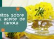 El aceite de canola es malo