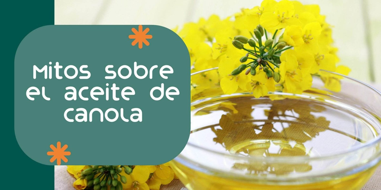 Blog aceite de canola El aceite de canola es malo