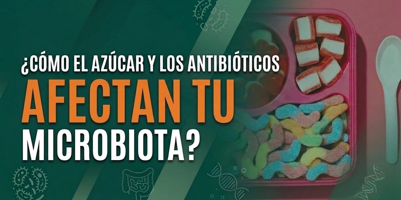 Azúcar, antibióticos y la microbiota Azúcar, antibióticos y la microbiota