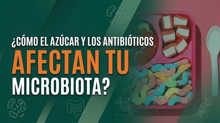 Azúcar, antibióticos y la microbiota