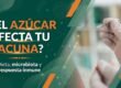 Dieta, microbiota y vacunas