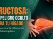 Hígado graso y fructosa